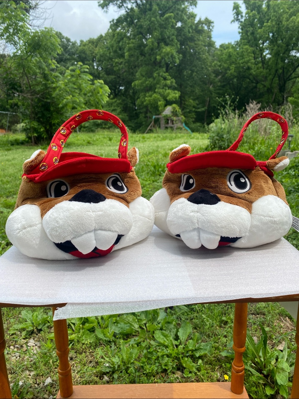 Buc-ee's Plush Tote, Easter Basket, Halloween Bag, Beaver Head Lot of 2 May 2024